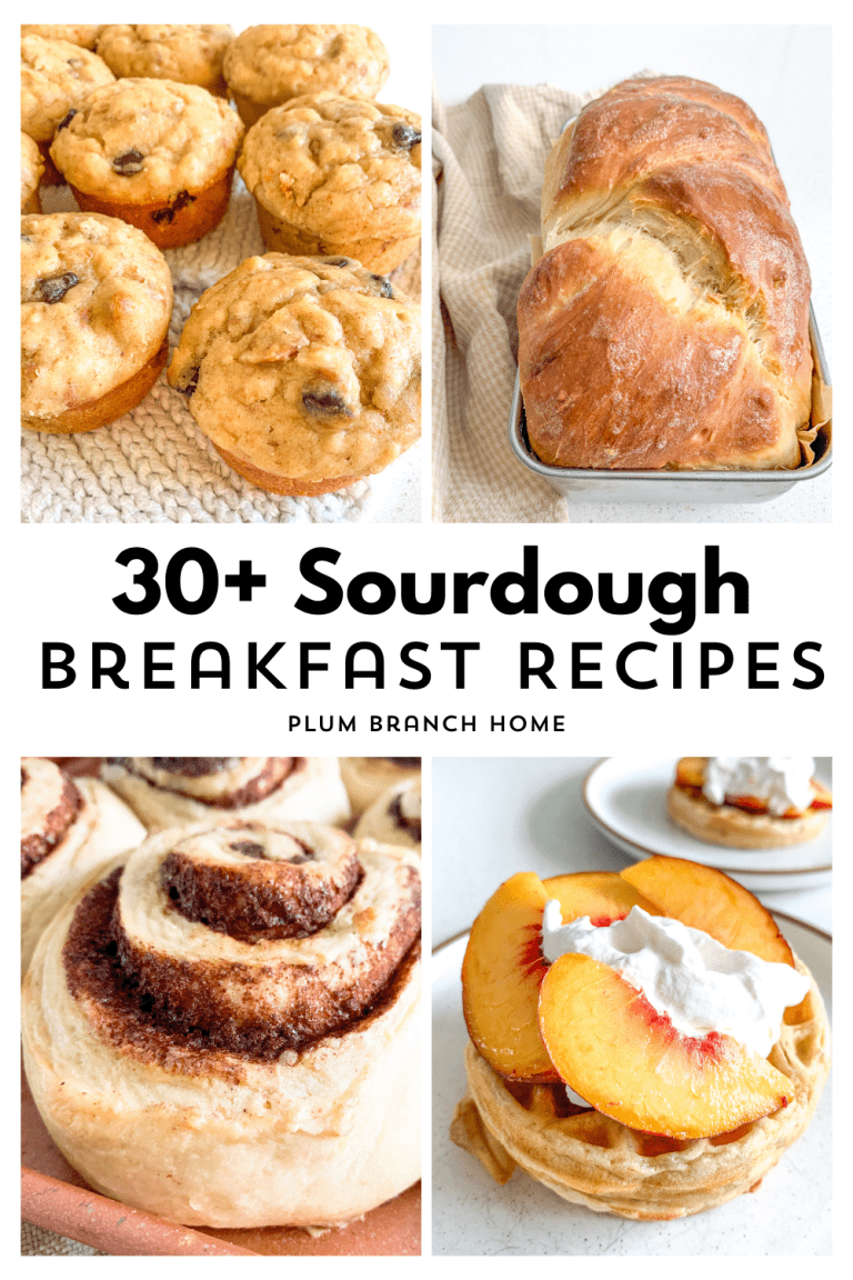graphic for sourdough breakfast recipes