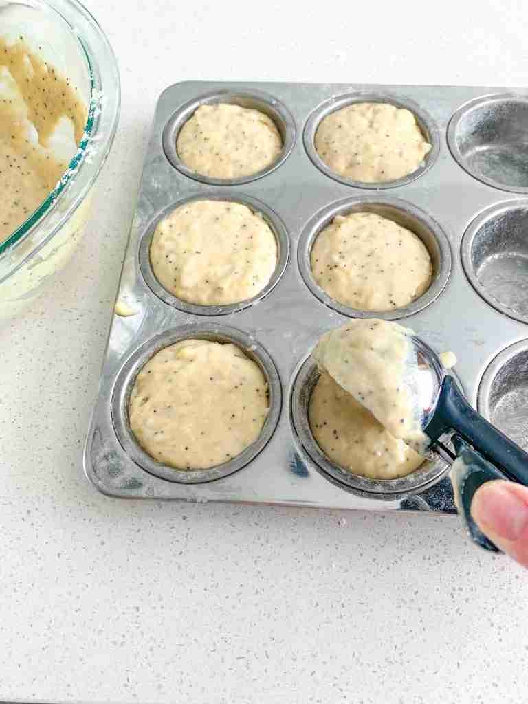 scooping lemon poppyseed muffins batter into a tin