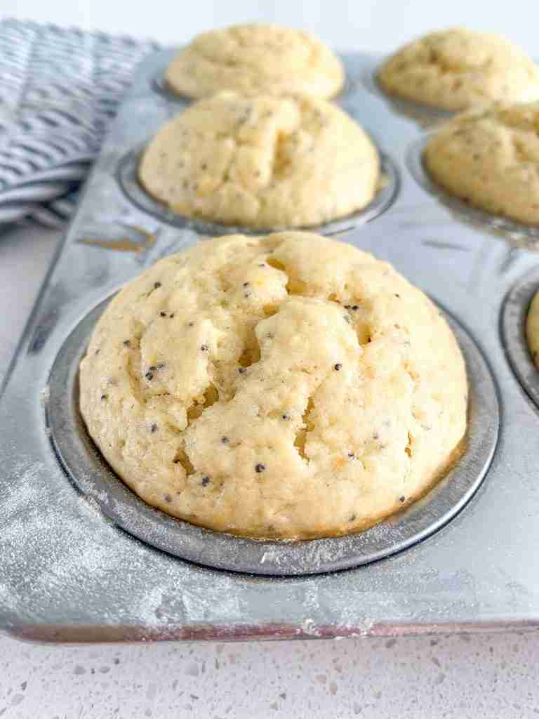 freshly baked lemon poppyseed muffins