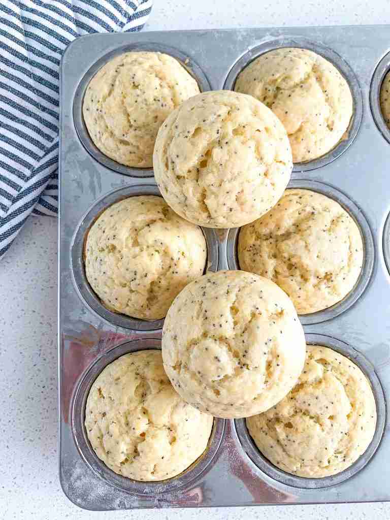 freshly baked lemon poppyseed muffins
