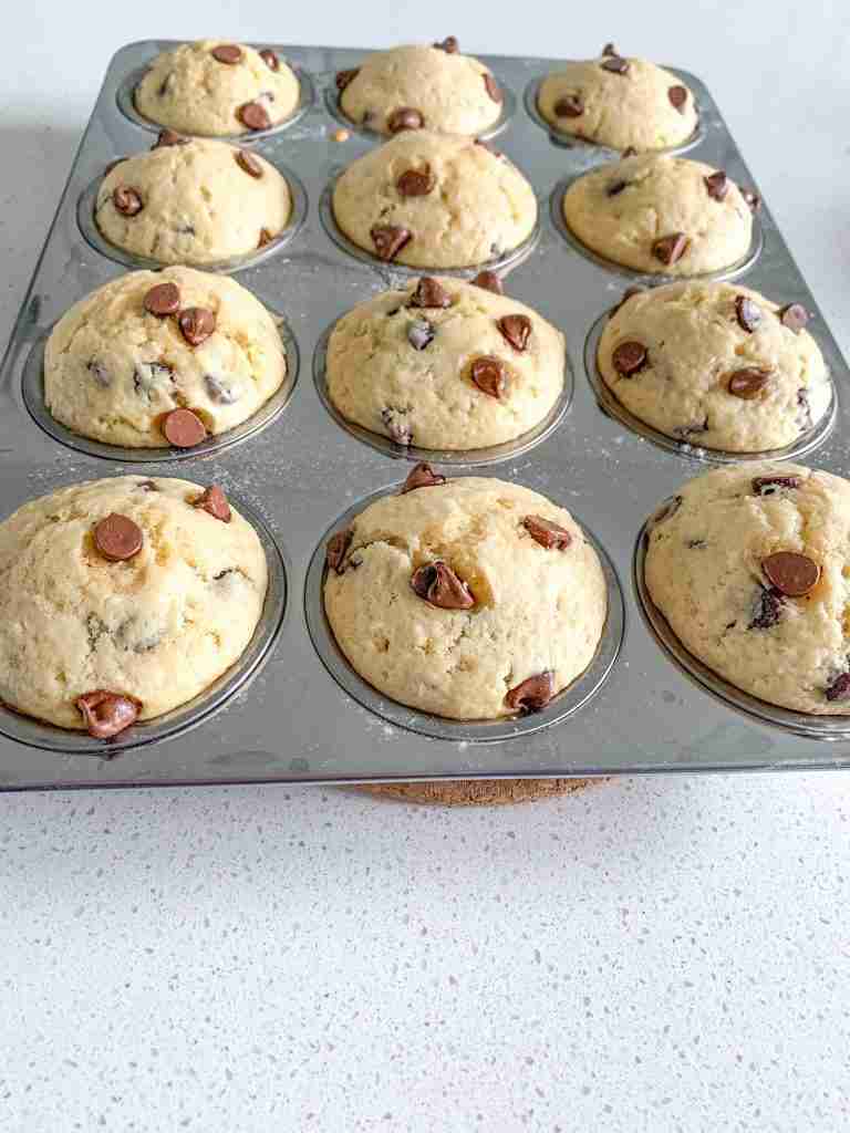 freshly baked sourdough chocolate chip muffins