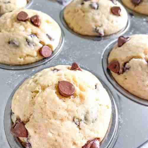 freshly baked sourdough chocolate chip muffins