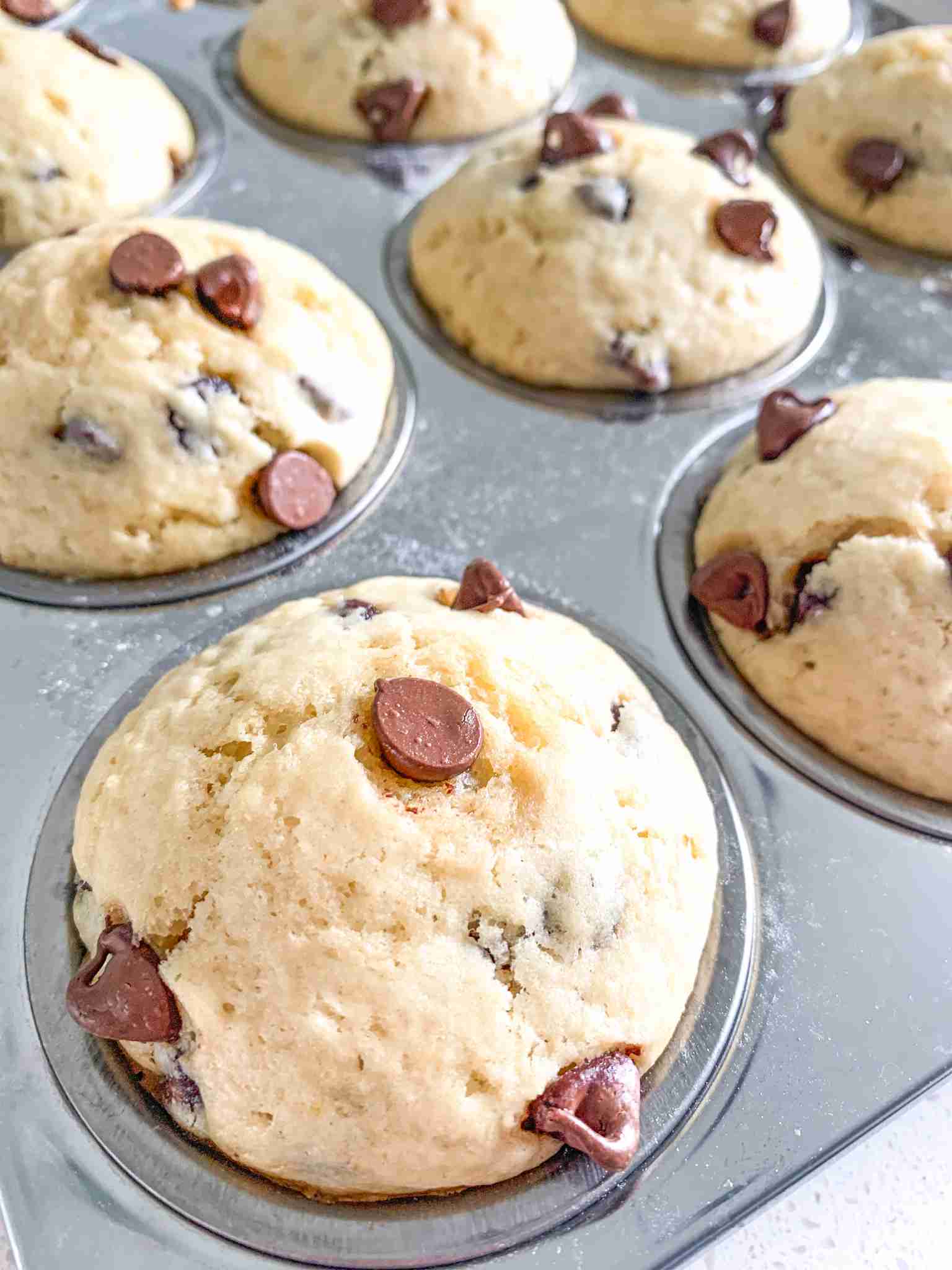 freshly baked sourdough chocolate chip muffins