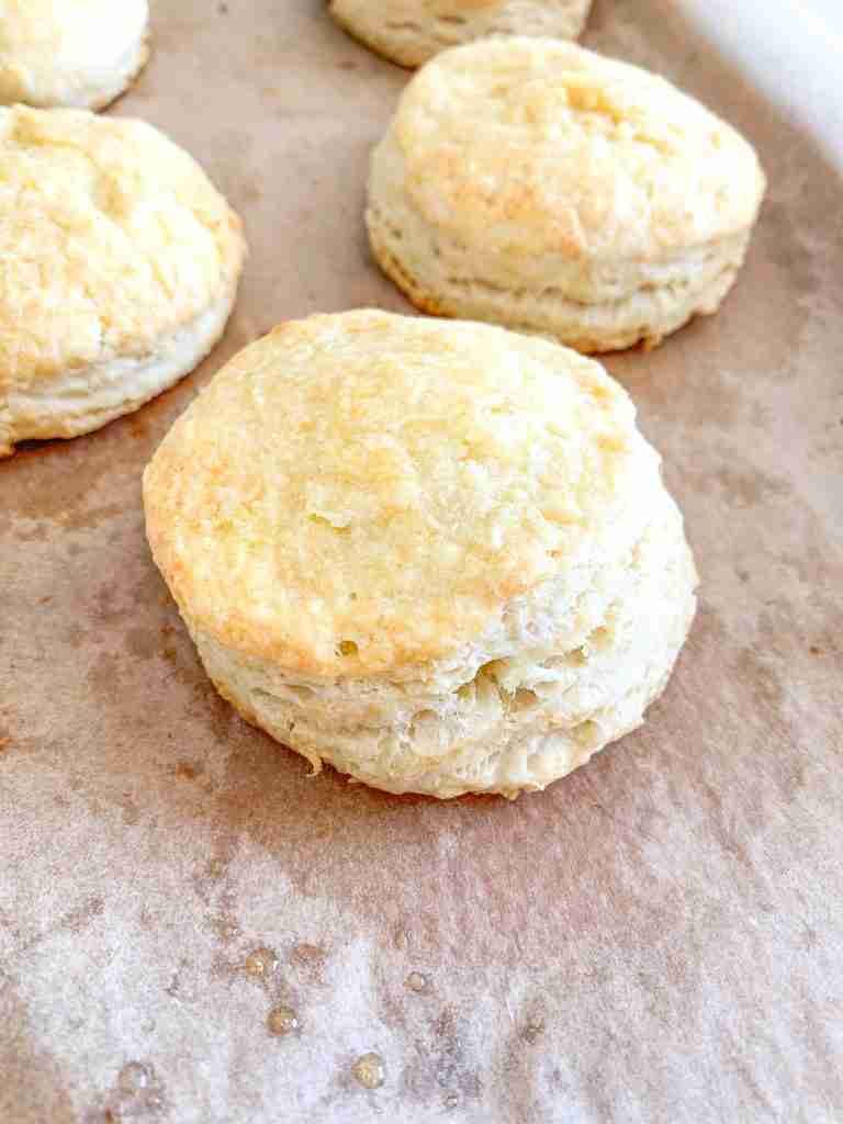 freshly baked sourdough buttermilk biscuits