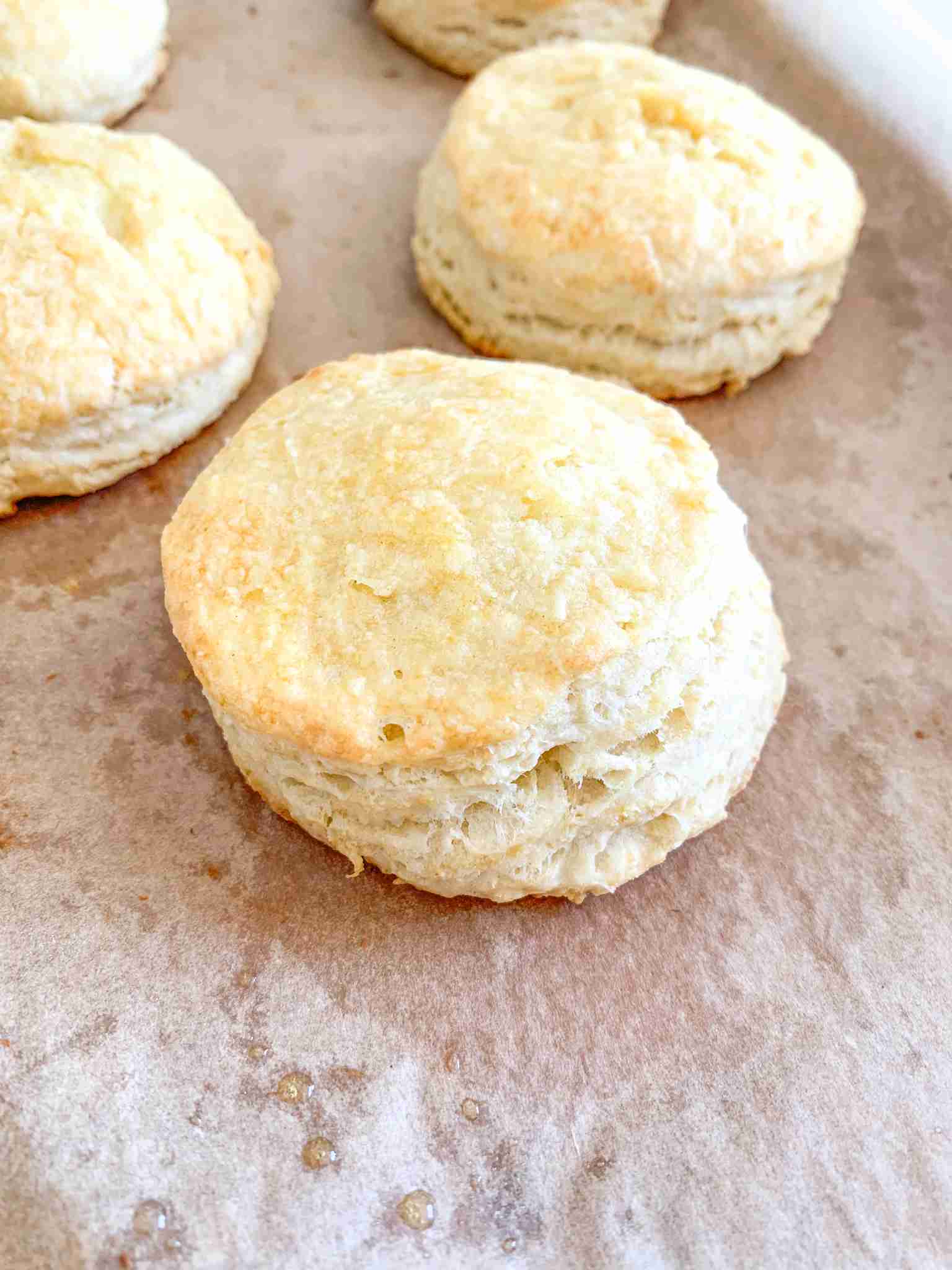 freshly baked sourdough buttermilk biscuits