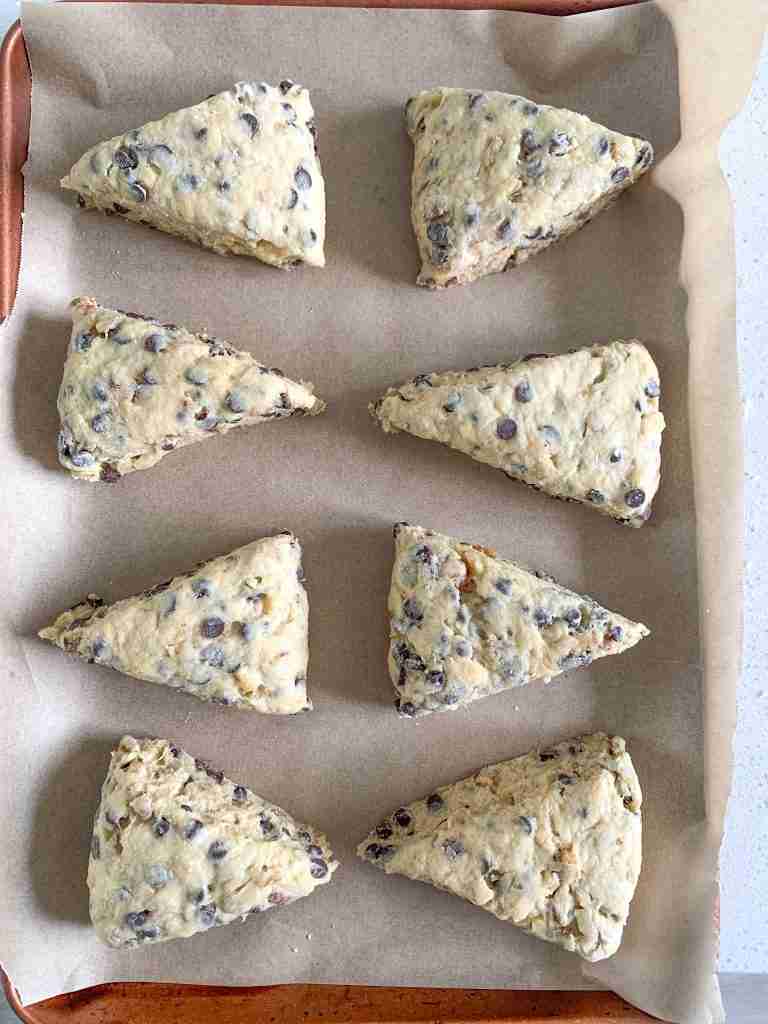 shaped sourdough chocolate chip walnut scones