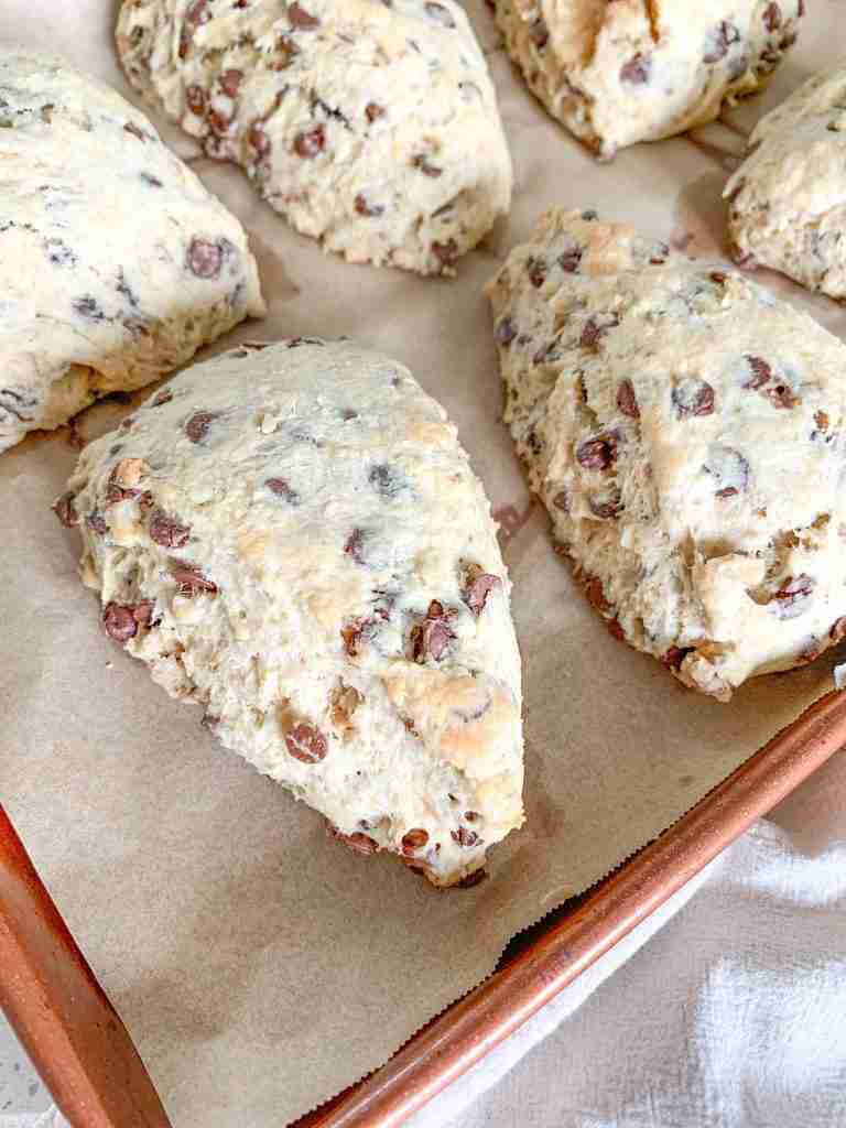 freshly baked derby pie scones (sourdough chocolate walnut scones)