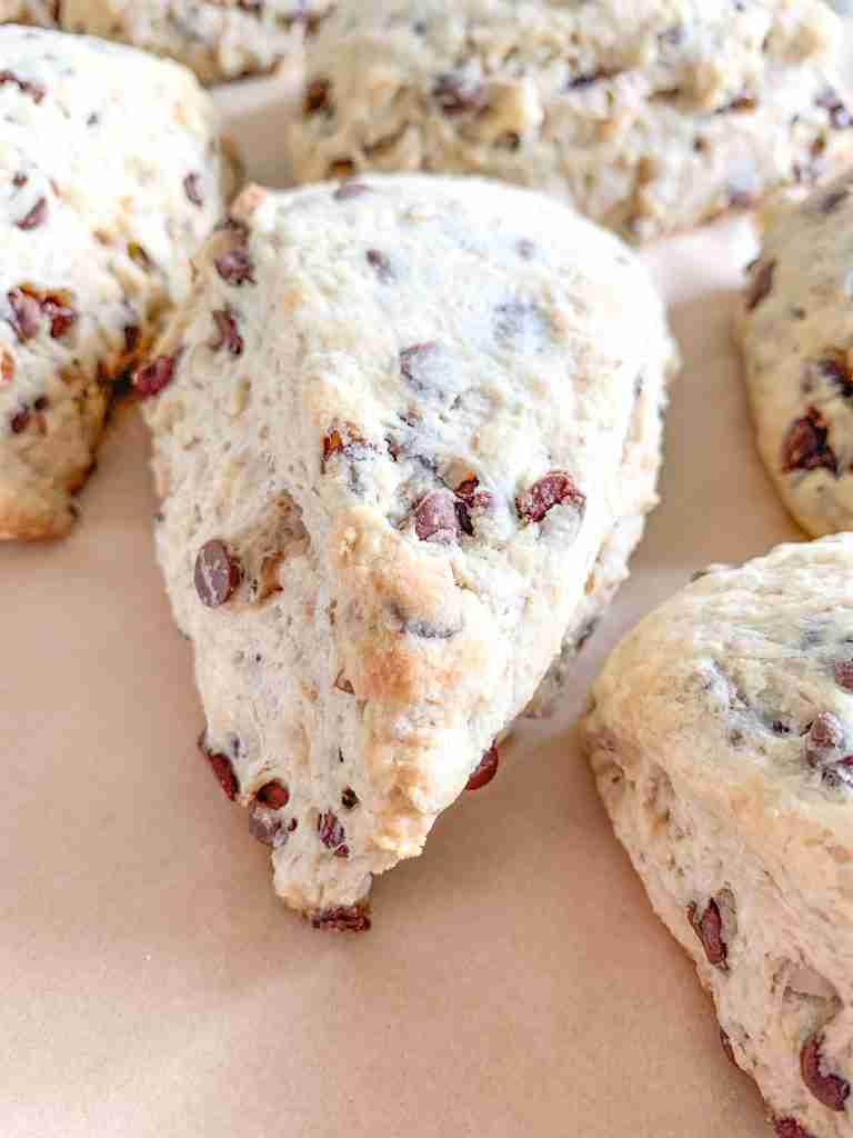 freshly baked derby pie scones (sourdough chocolate walnut scones)