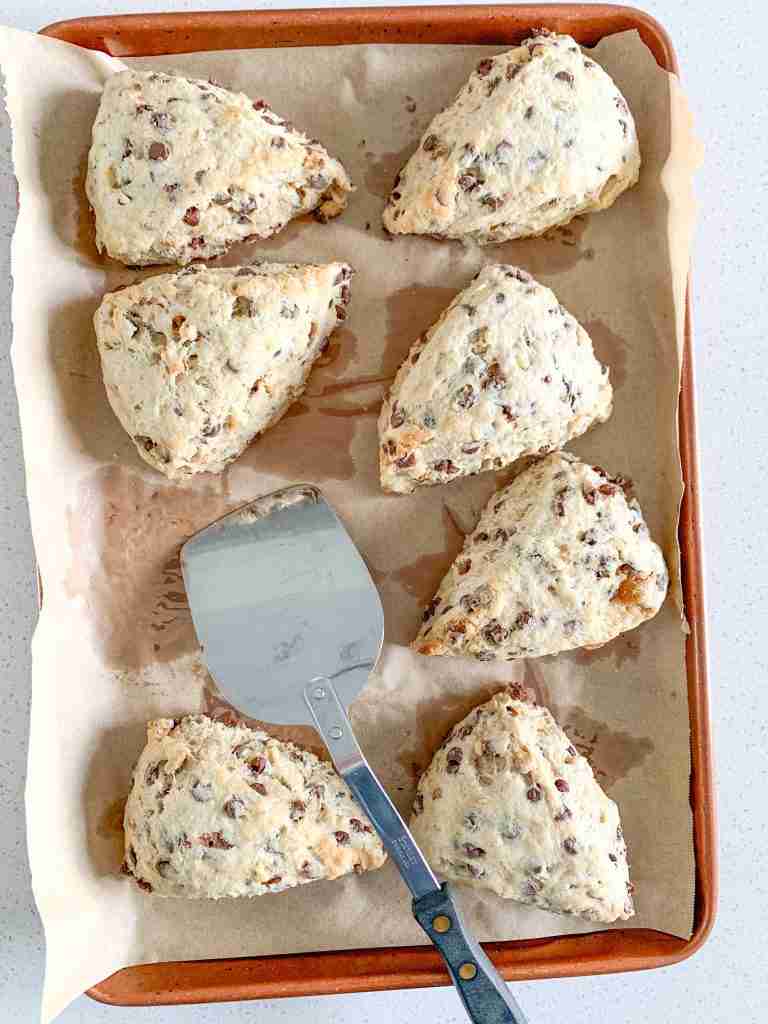 freshly baked derby pie scones (sourdough chocolate walnut scones)