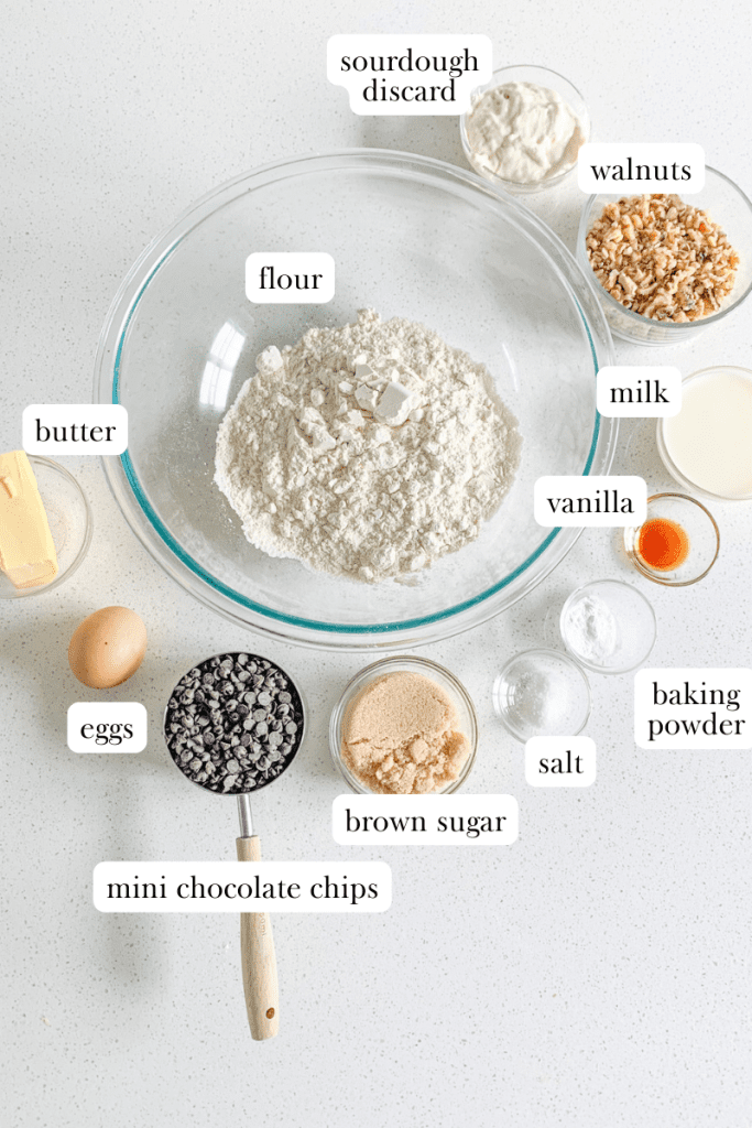 sourdough chocolate chip walnut scones labeled ingredients