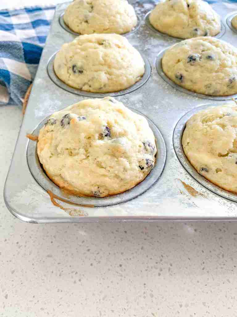 freshly baked sourdough blueberry cheesecake muffins