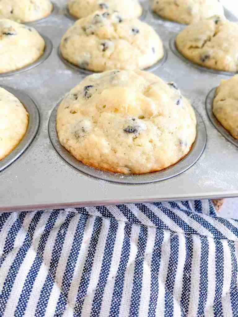 freshly baked sourdough blueberry cheesecake muffins