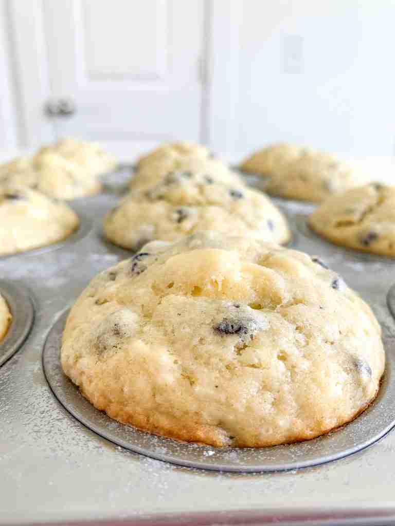 freshly baked sourdough blueberry cheesecake muffins