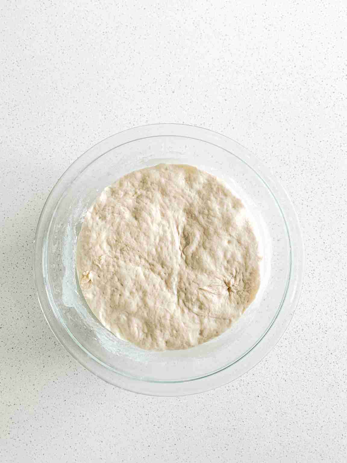 Flatbread Rectangular Best Sourdough Flatbread Recipe (rectangle-shaped for pizza)