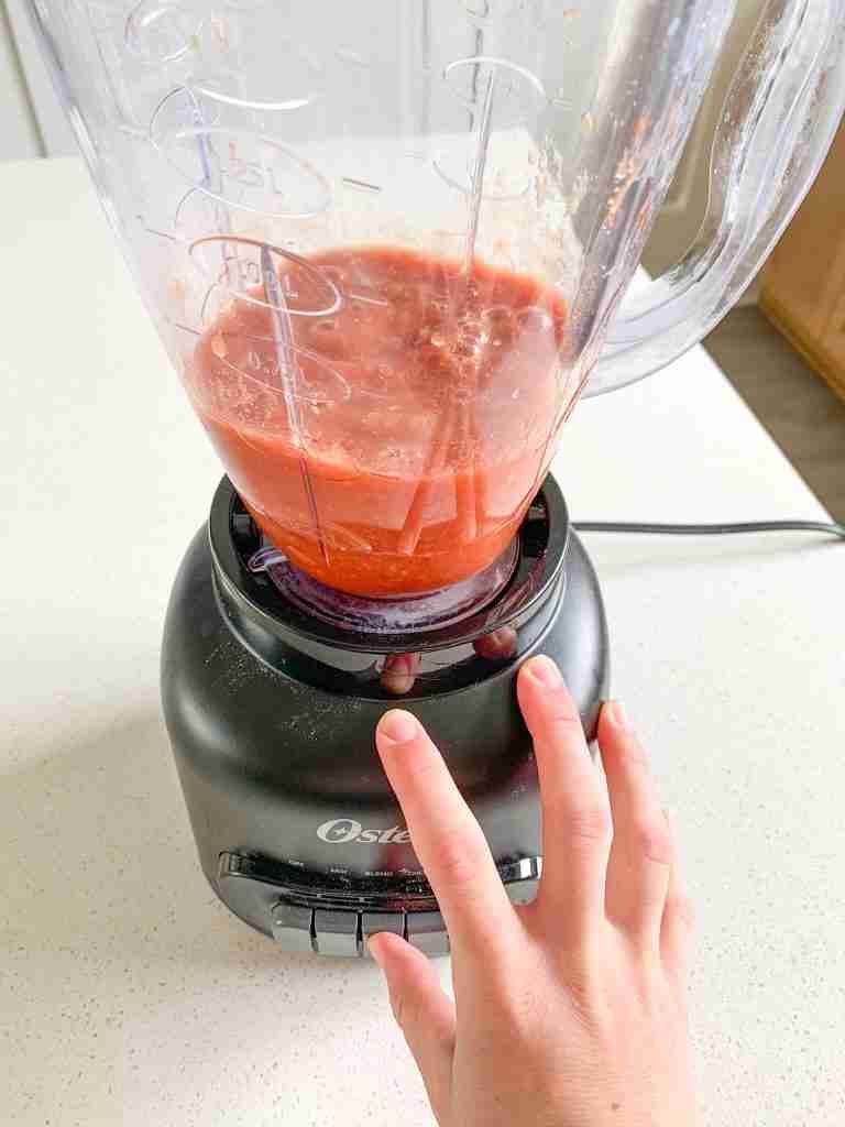 salsa ingredients being blended