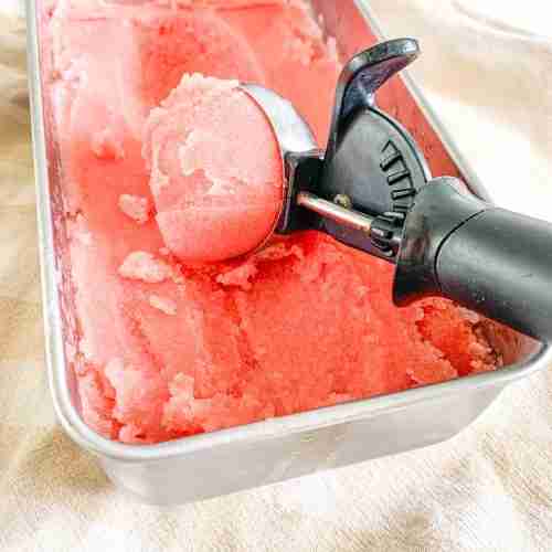 freshly made watermelon sorbet in a scoop
