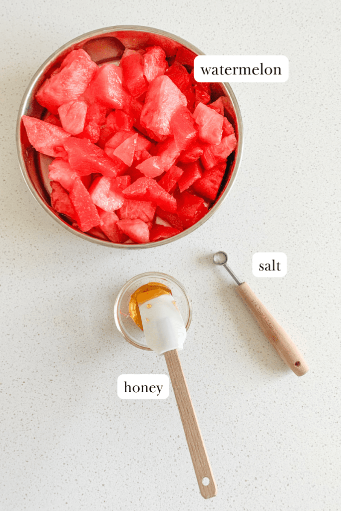 watermelon-sorbet-recipe labeled ingredients