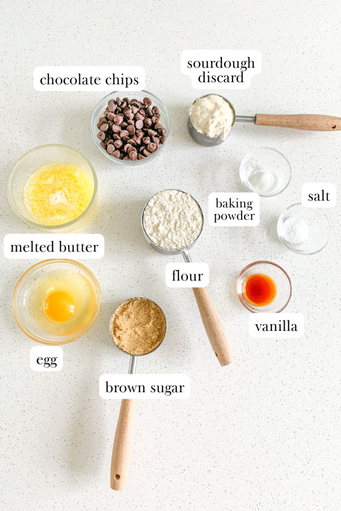 sourdough chocolate chip blondies labeled ingredients