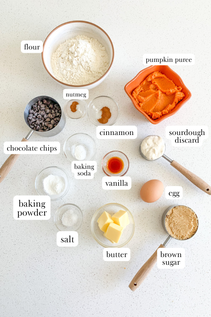 Sourdough Chocolate Chip Pumpkin Cookies labeled ingredients