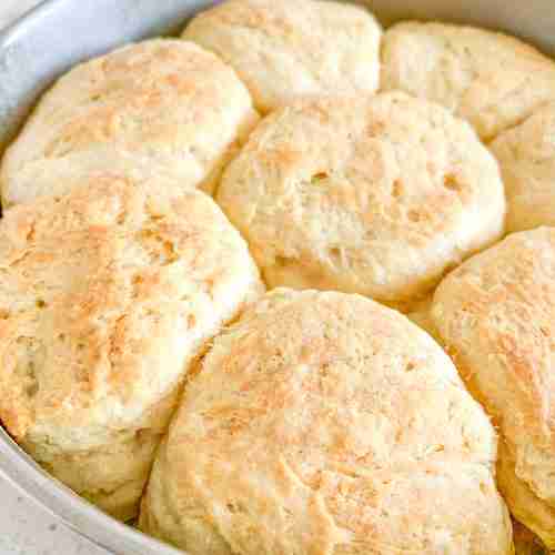 freshly baked sourdough angel biscuits