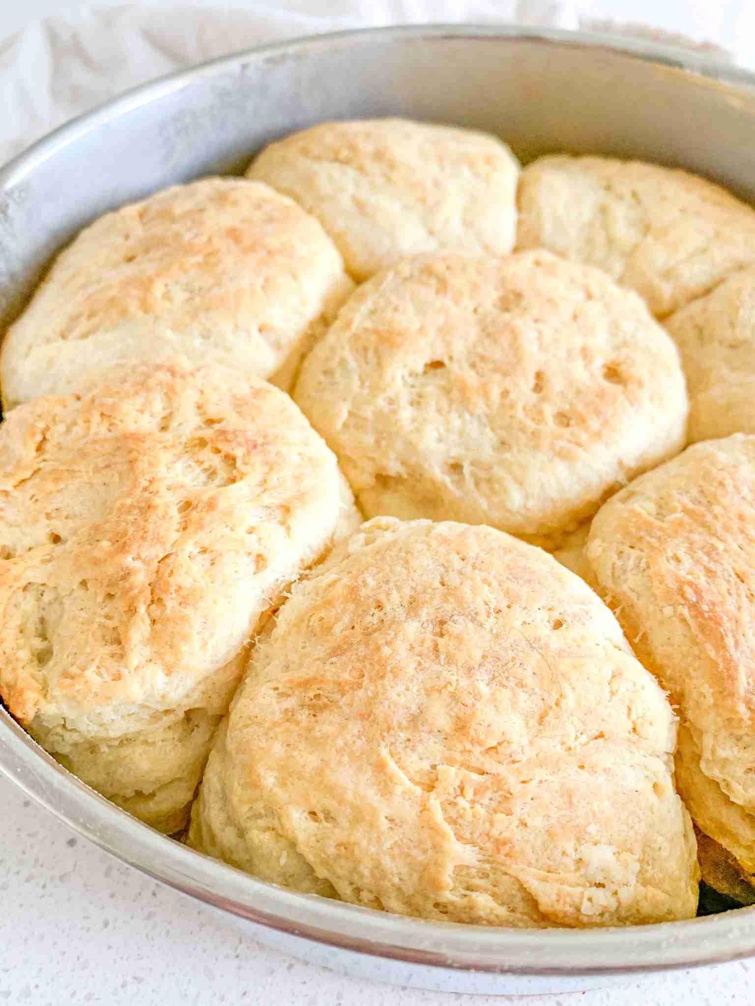 freshly baked sourdough angel biscuits