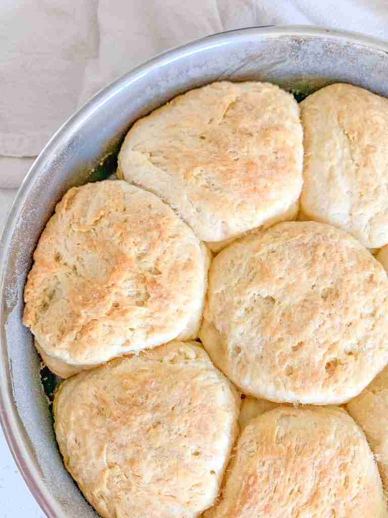 freshly baked sourdough angel biscuits