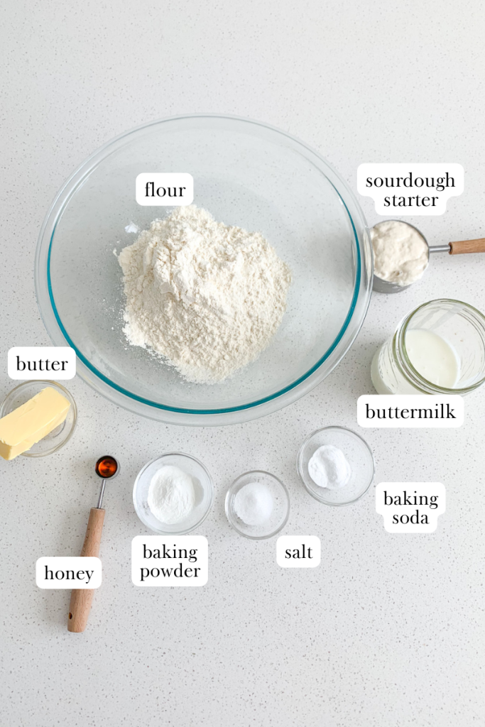 sourdough angel biscuits labeled ingredients