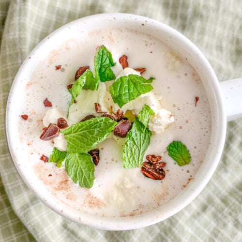 freshly made peppermint hot chocolate topped with whipped cream, mint leaves, and chocolate chips