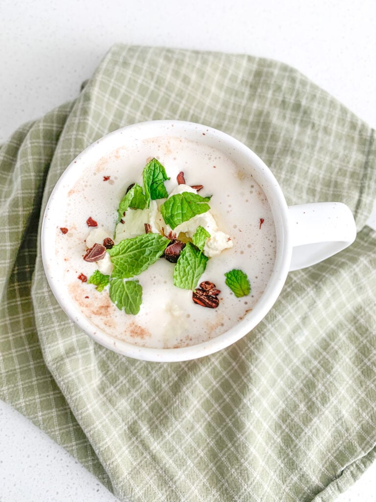 freshly made peppermint hot chocolate topped with whipped cream, mint leaves, and chocolate chips