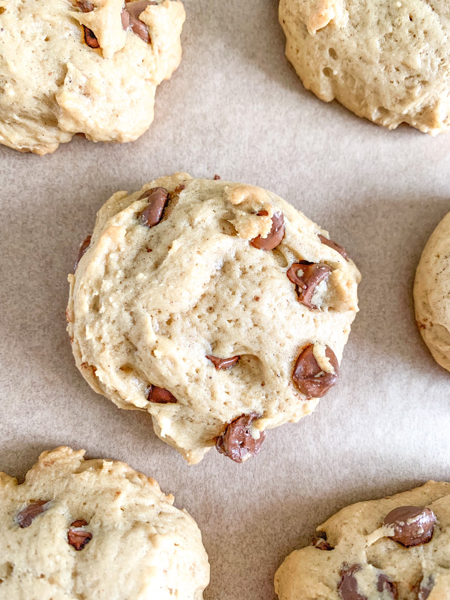 freshly baked brown butter sourdough chocolate chip cookies