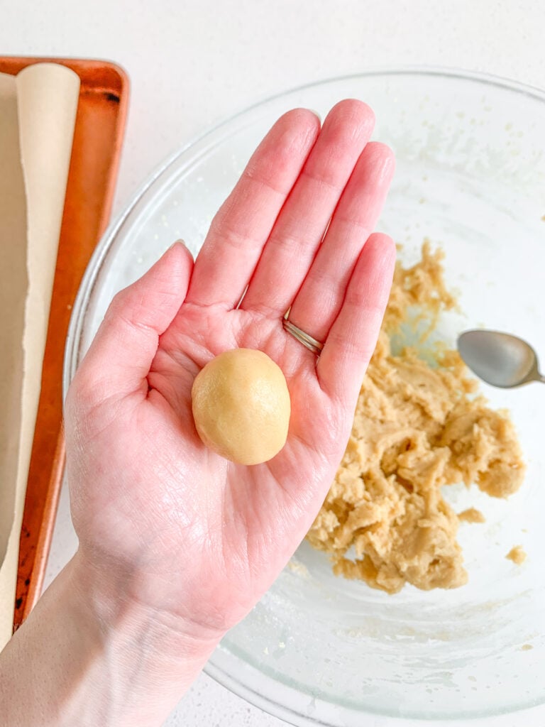 sourdough vanilla wafer dough rolled into a ball