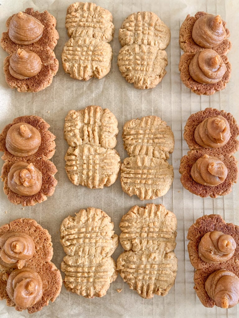 homemade nutter butters piped with filling and ready to assemble