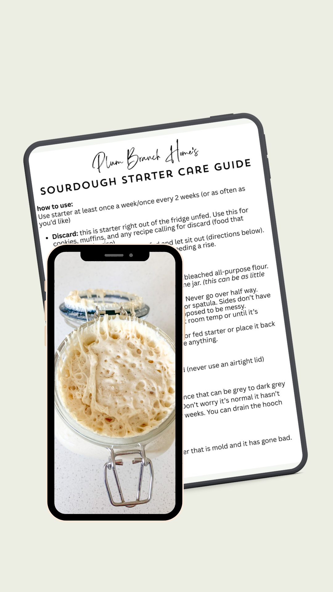sourdough care guide template