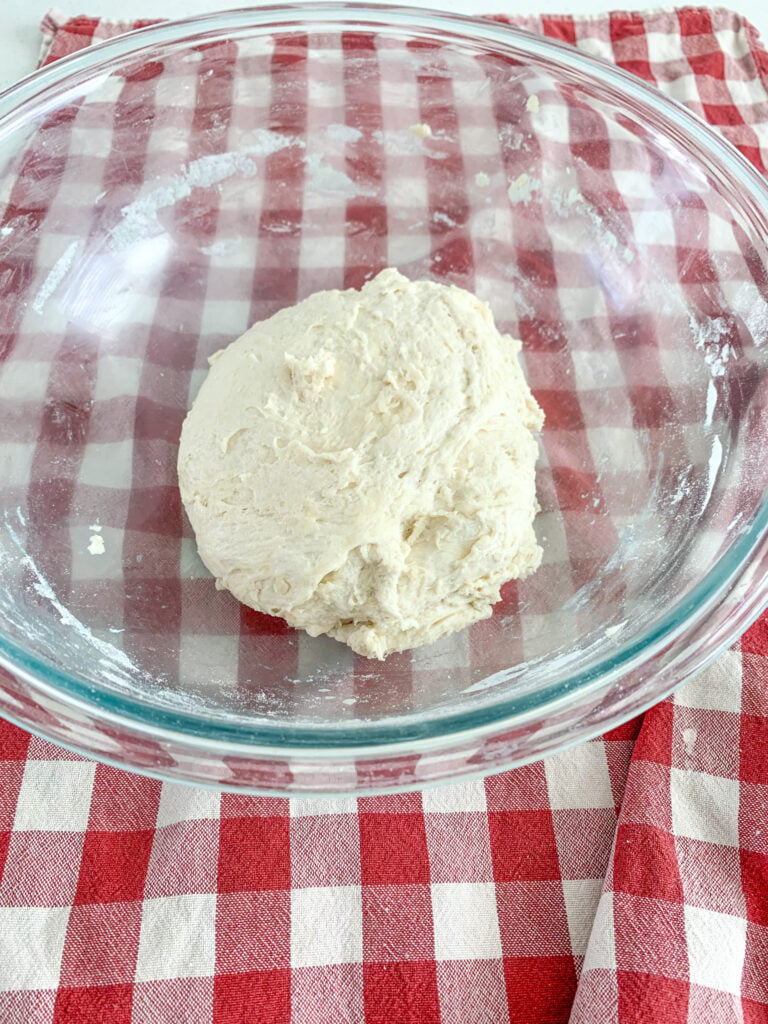 sourdough breadstick dough ready to ferment