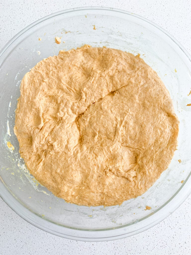 sourdough pumpkin cinnamon roll dough fermented